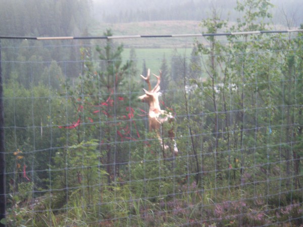 klikkaa ikkuna kiinni